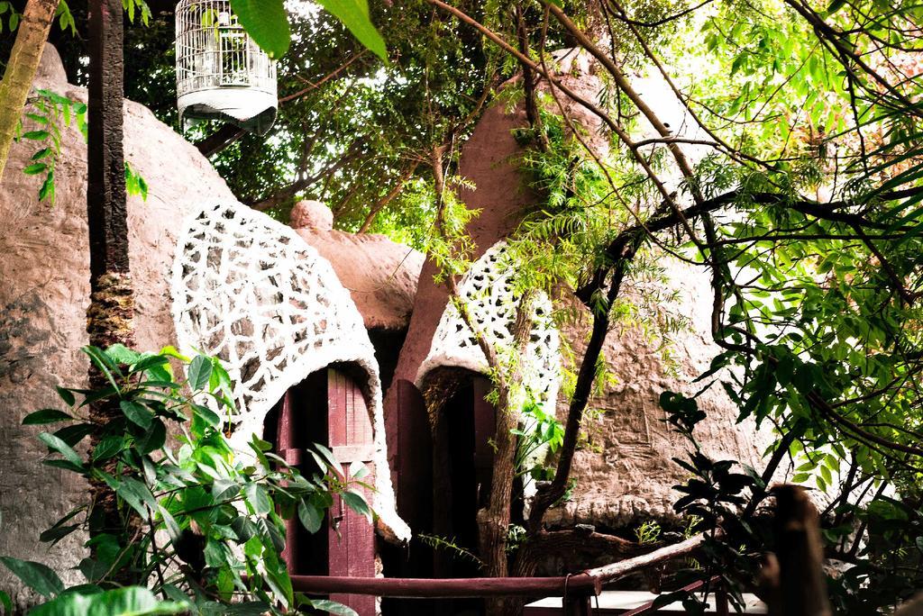 Dao Anh Khanh Tree House Hanoï Extérieur photo