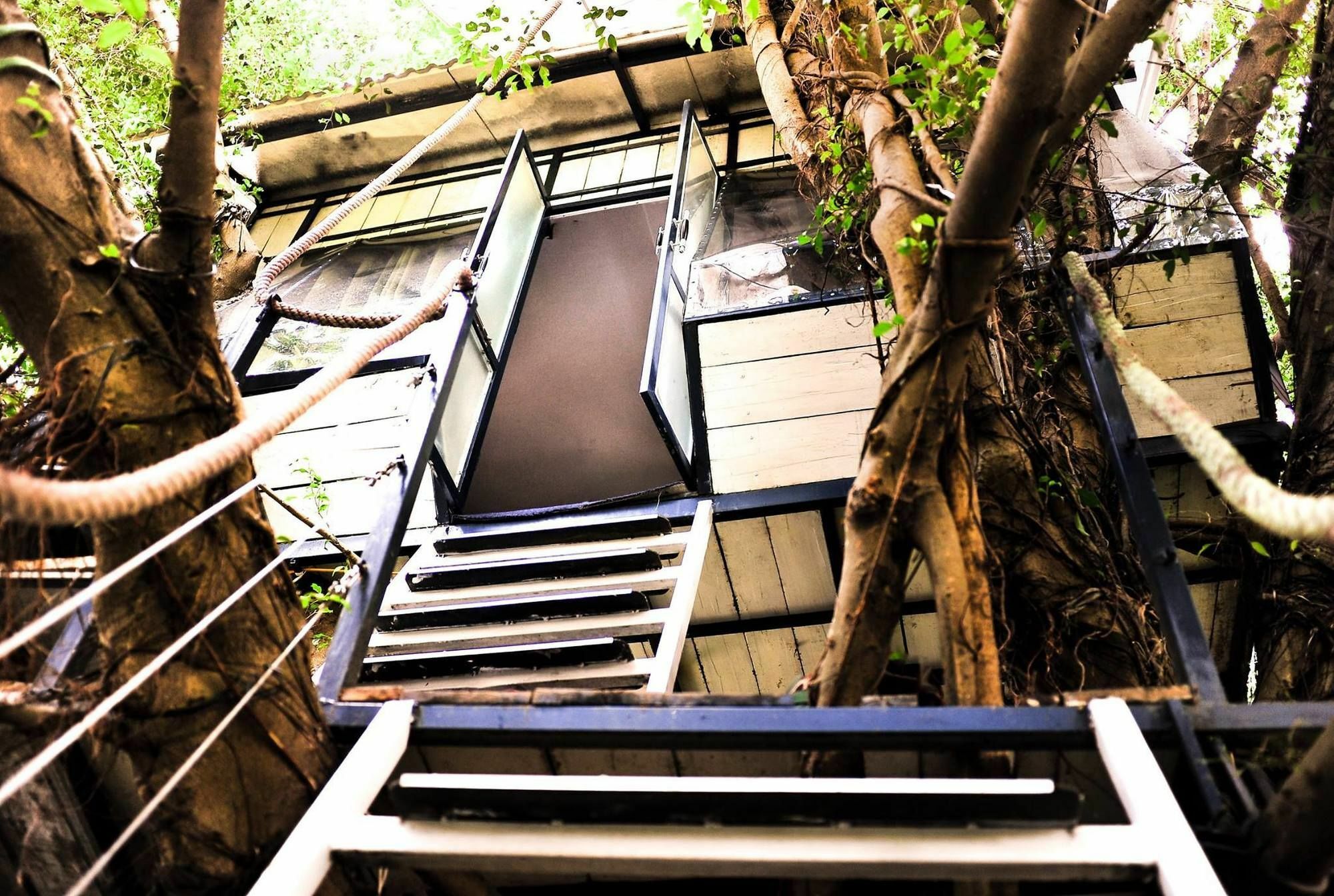 Dao Anh Khanh Tree House Hanoï Extérieur photo